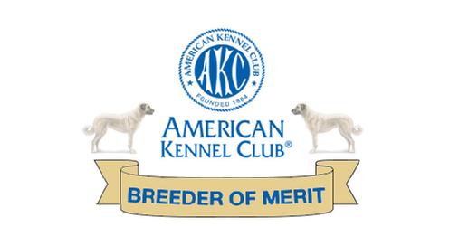 ZKC Breeder of Merit